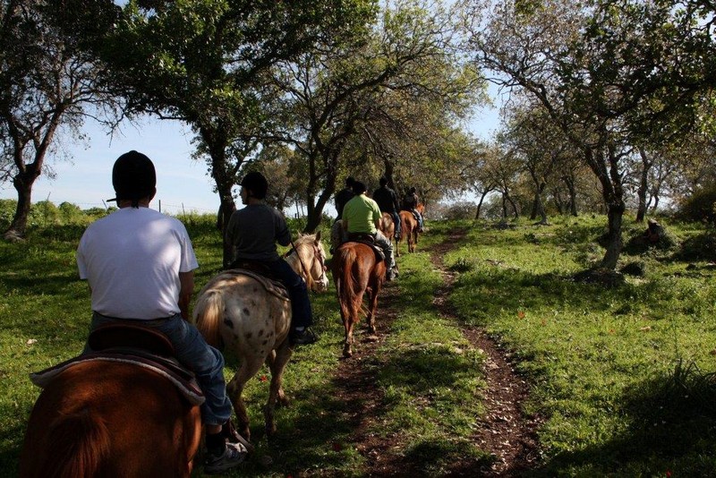 רכיבה על סוסים לילדים - חוויית הרוכבים